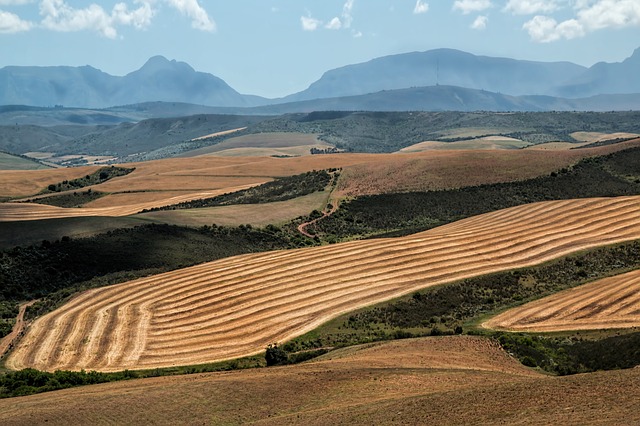 APPROVAZIONE DEL PIANO DI RICOMPOSIZIONE FONDIARIA NELL'AGRO DI ZEDDIANI