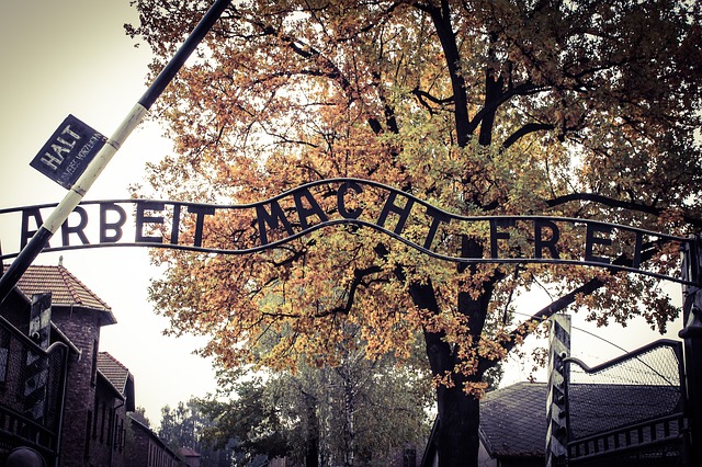 Bando di selezione per il progetto 'Promemoria Auschwitz'