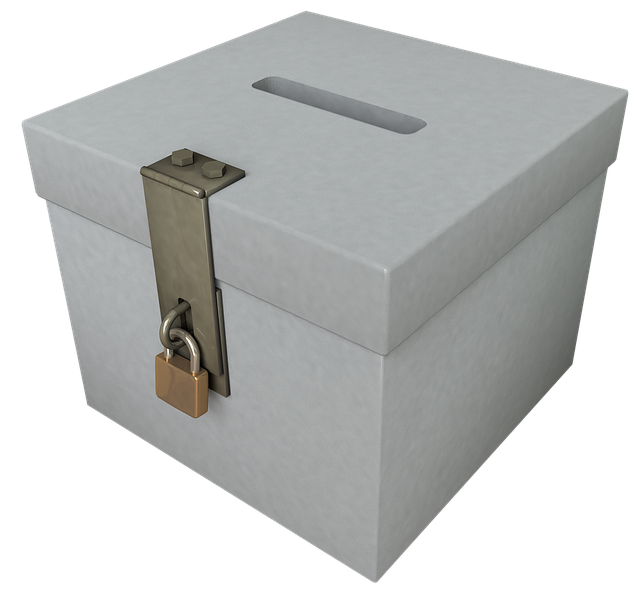 REFERENDUM POPOLARI DEL 28 MAGGIO 2017