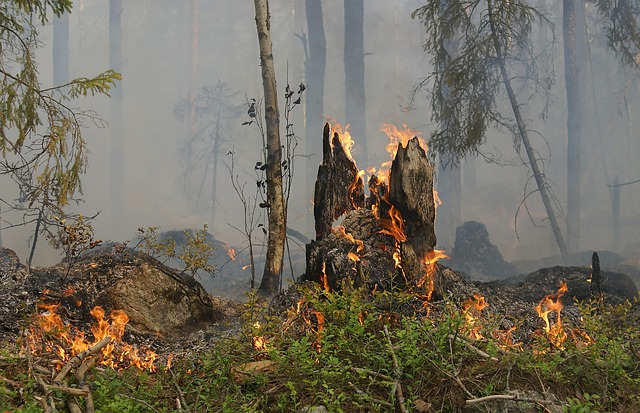 Misure per la prevenzione degli incendi all'interno del centro abitato e nelle zone limitrofe