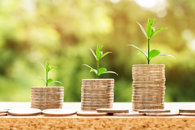 Bando per l'erogazione di contributi finanziari a titolo di cofinanziamento