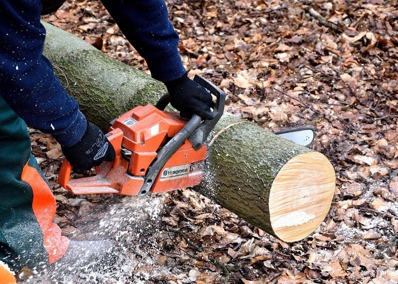 Corso Motosega e Decespugliatore  dell'8 febbraio 2025– Iscrizioni Aperte